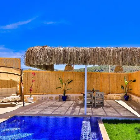 ゴールデン ライトハウス