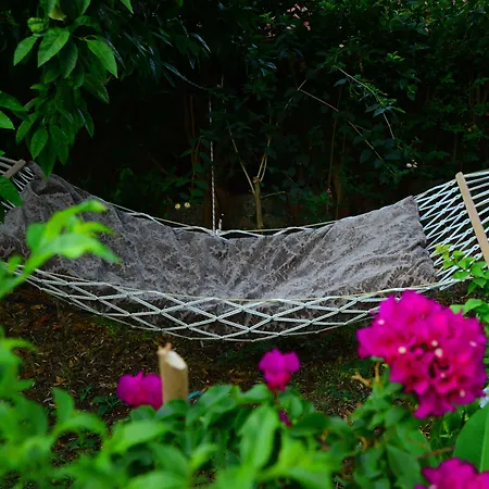 ゴールデン ライトハウス パタラ