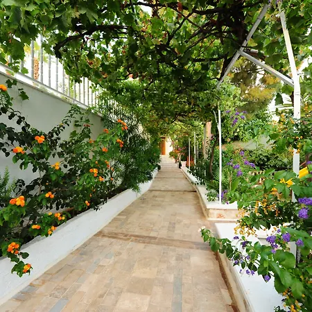 ゴールデン ライトハウス ホテル パタラ