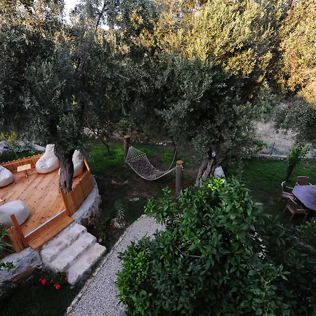 ゴールデン ライトハウス ホテル 2*