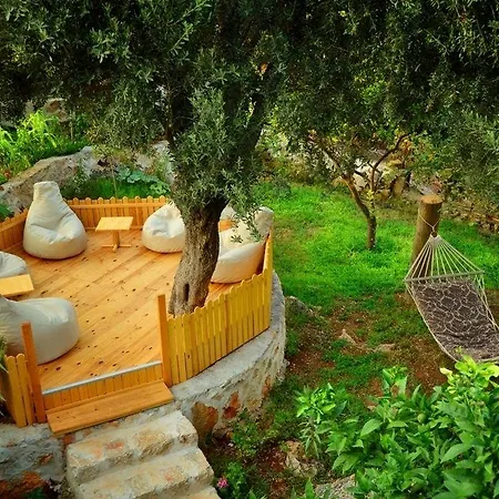 ゴールデン ライトハウス パタラ