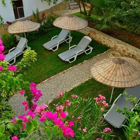 ホテル ゴールデン ライトハウス パタラ