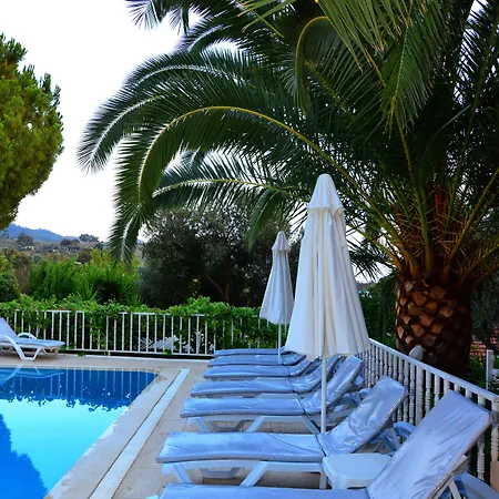 ゴールデン ライトハウス パタラ