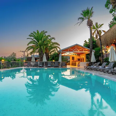 ゴールデン ライトハウス パタラ